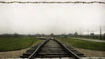 Beyond Freedom  The Life of Viktor Frankl (2023)