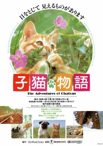 子猫物語 (1986)