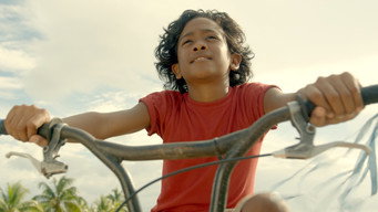 #4 Wiren