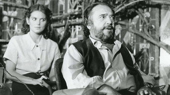 Le voyageur imprudent (1982)