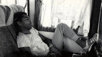 Corações a Mil (1981)