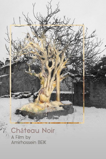 Ch&acirc;teau Noir (2022)