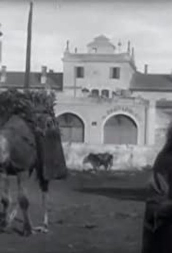 Marché aux charbons (avec chameaux)