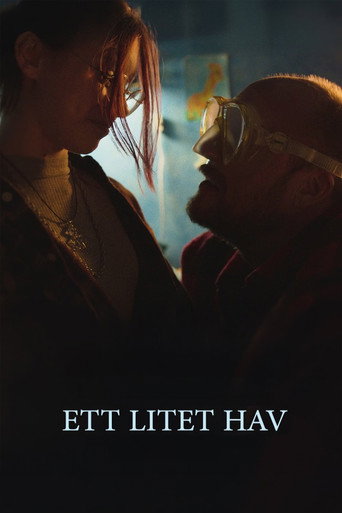 Ett litet hav (2026)