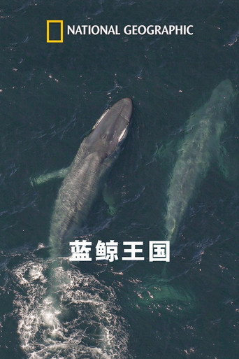 国家地理：蓝鲸王国