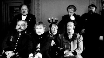 Revizorro media image