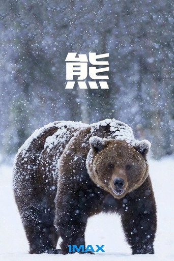 IMAX - 熊 海报