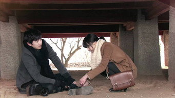 Ordinary Love (2012)