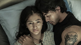 Desperada (2026)