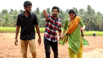 #17 Veeran