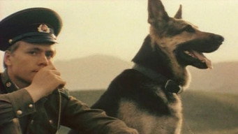 Border Dog Scarlet (1980)
