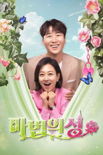 마법의 성 poster