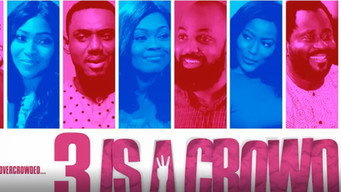 3 Is a Crowd (2017)
