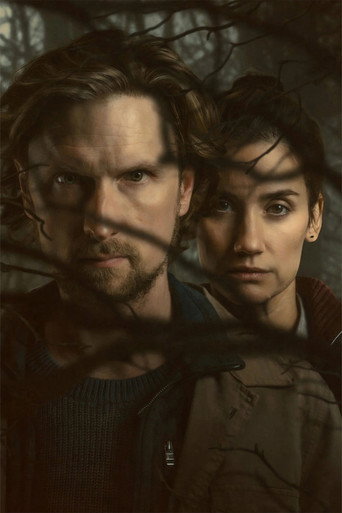 Poster 6