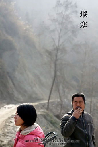 Broken but New poster