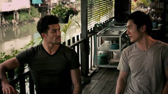 Fighting Fish (2012)