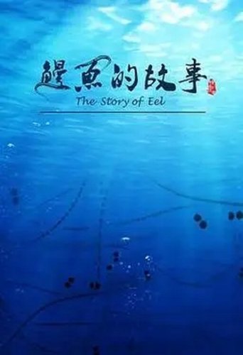 鳗鱼的故事