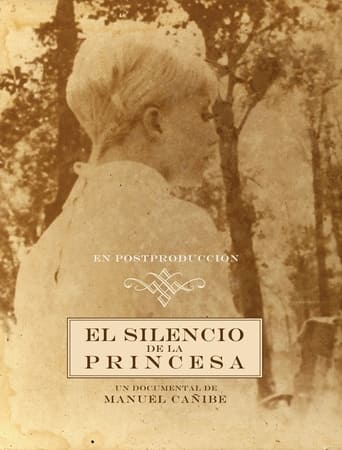 Poster för The Silence of the Princess