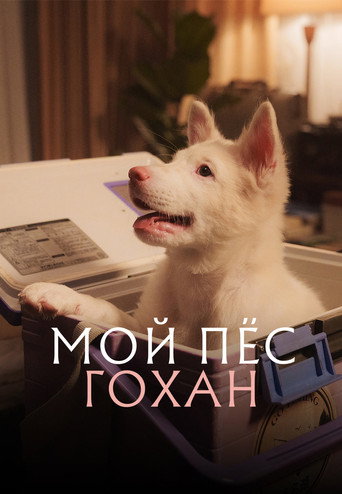 Мой пёс Гохан