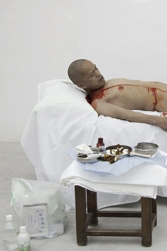 One Meter Democracy (2010) One Meter Democracy (2010)