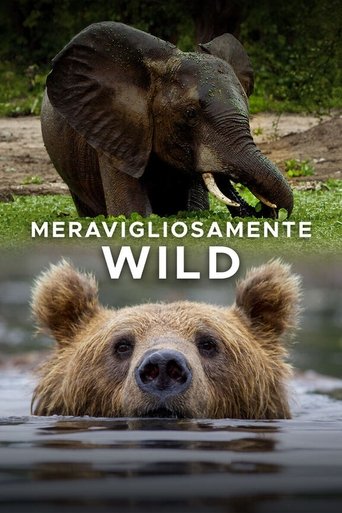 Meravigliosamente wild poster