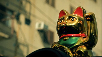 Manekineko media image