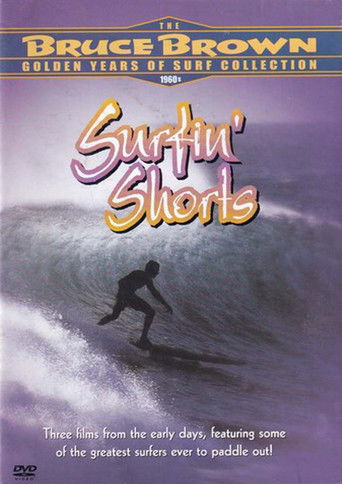 Surfin' Shorts poster 5