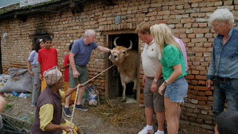 Episode 6 — Episode 6