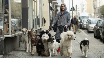 #4 Alles Wuff