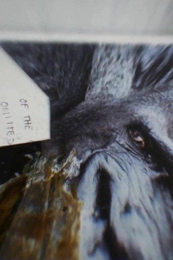 I Remember (depth of flatten cruelty) poster