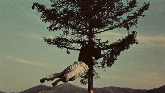 The Forgotten (1959)