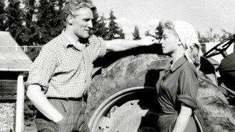 Kukonlaulusta kukonlauluun (1955)