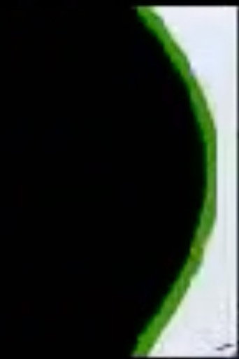 Sketch del fotográfo Romualdo García