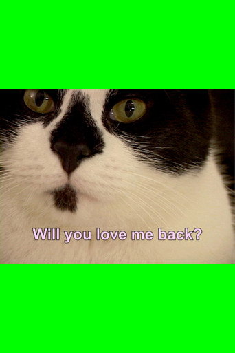 Valentine for Perfect Strangers (2007)