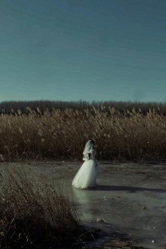 Her Wedding