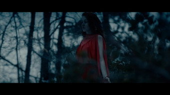 #6 Into the Night