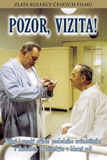 Poster of Pozor, vizita!
