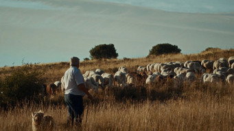 Escena 1 de Tacho
