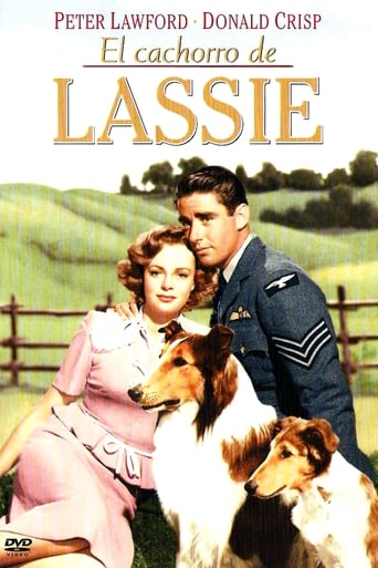 Poster of El cachorro de Lassie