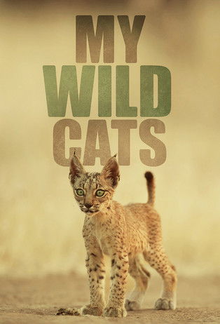 My Wild Cats poster