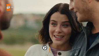 Episode 10 — Episode 31