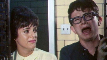 Terror in the Night (1964)