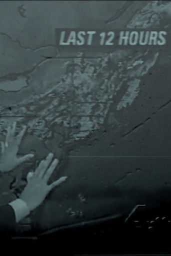 Through a Field poster