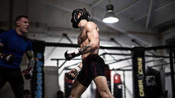 #5 The Notorious