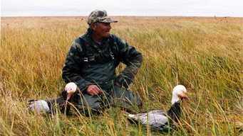 Okimah (1998)