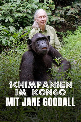 Schimpansen im Kongo mit Jane Goodall (2021年)のポスター画像 - FindKey