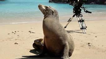 Still 1 from Guardians of the Galapagos