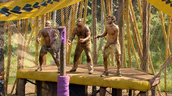 Survivor S19E11 poster