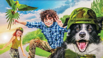 Galeria 1 - Mi perro es un detective