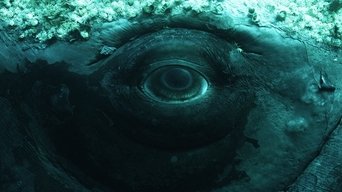 Whale with Steve Backshall - S1E01